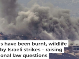 Smoke rises from Israeli airstrikes on southern Lebanese villages on Sept. 23, 2024. AP Photo / Hussein Malla